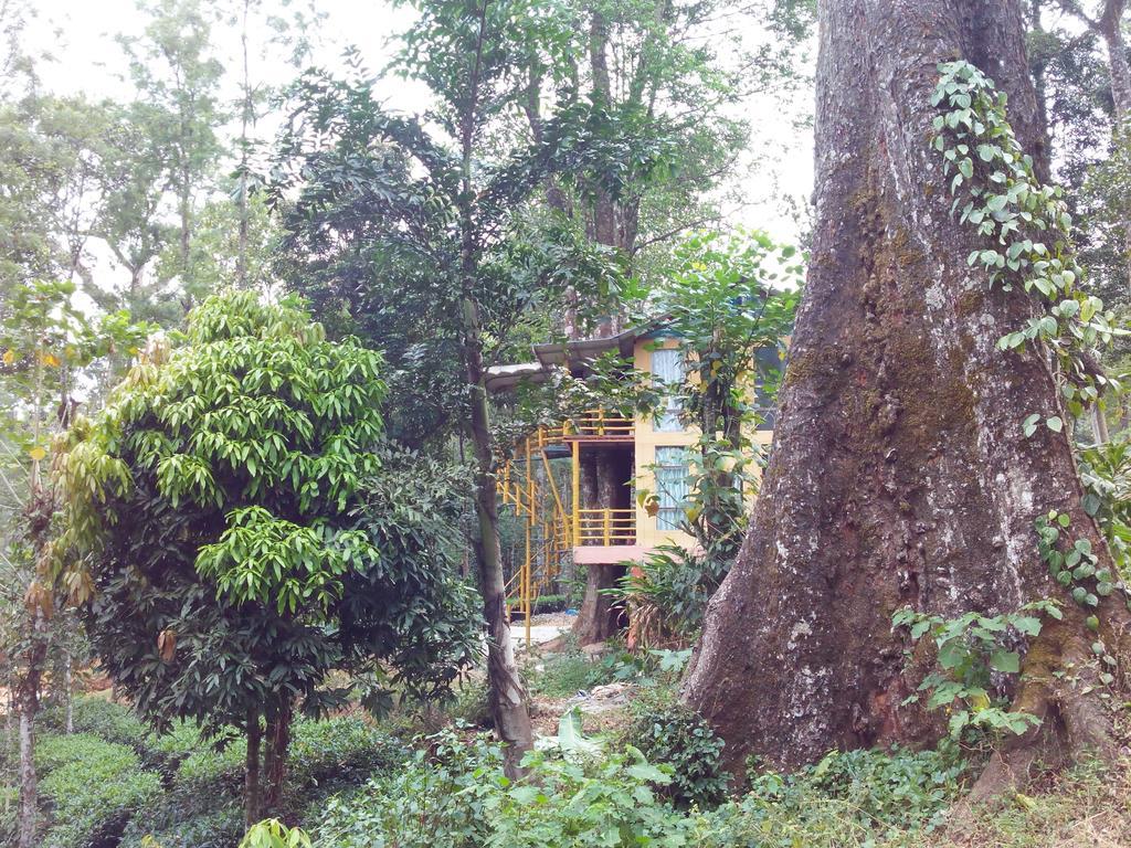 Jungle Jive Tree House Munnar Bed & Breakfast Oda fotoğraf