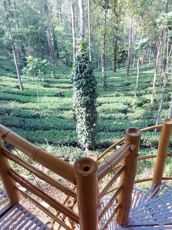 Jungle Jive Tree House Munnar Bed & Breakfast Oda fotoğraf