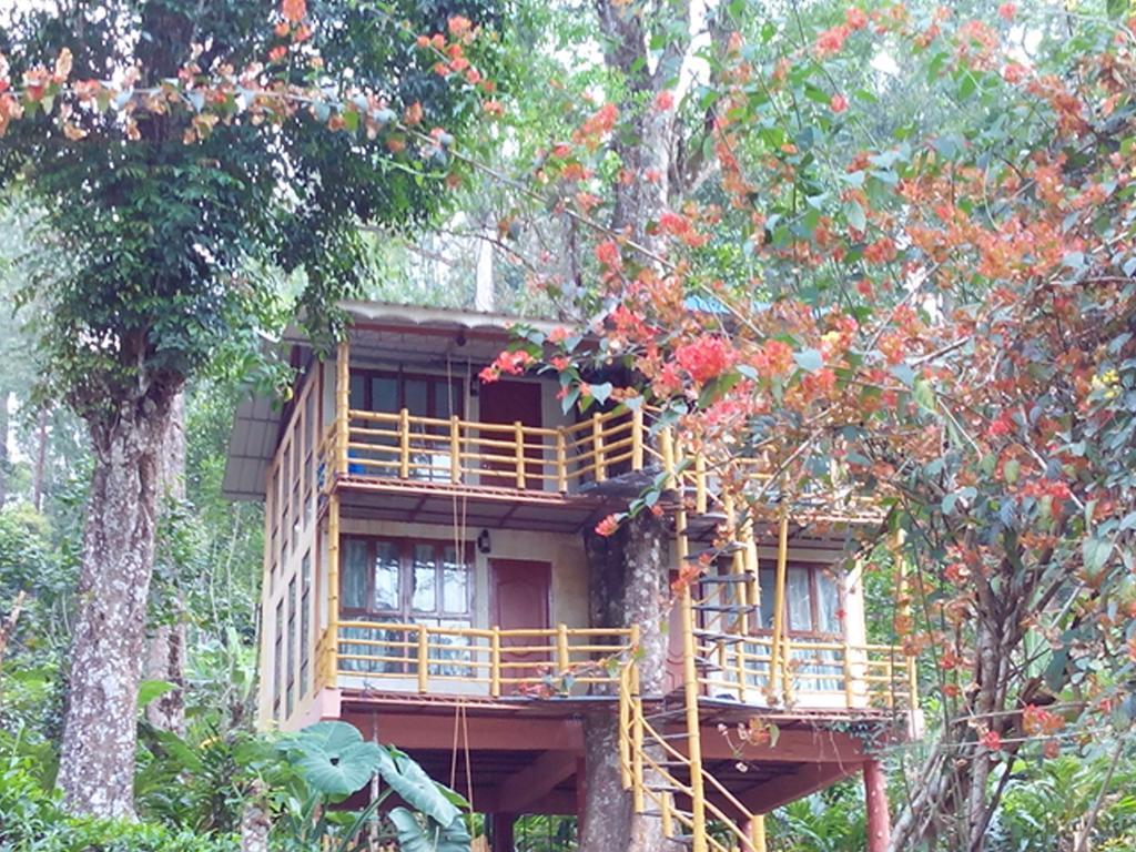 Jungle Jive Tree House Munnar Bed & Breakfast Dış mekan fotoğraf