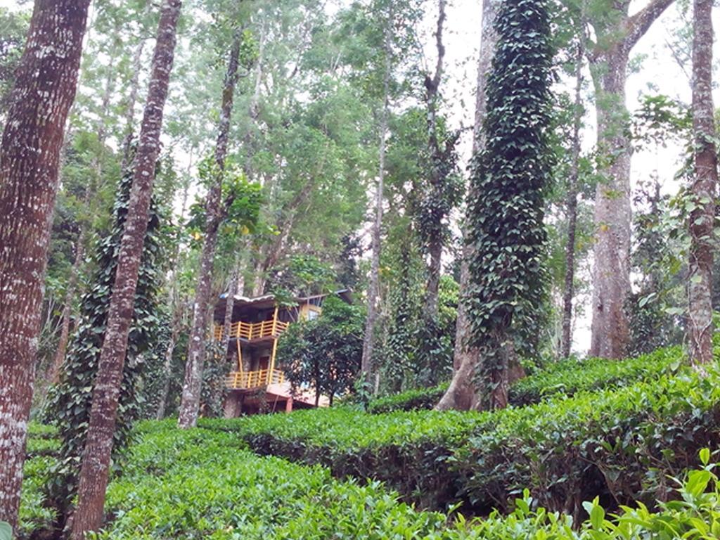 Jungle Jive Tree House Munnar Bed & Breakfast Dış mekan fotoğraf
