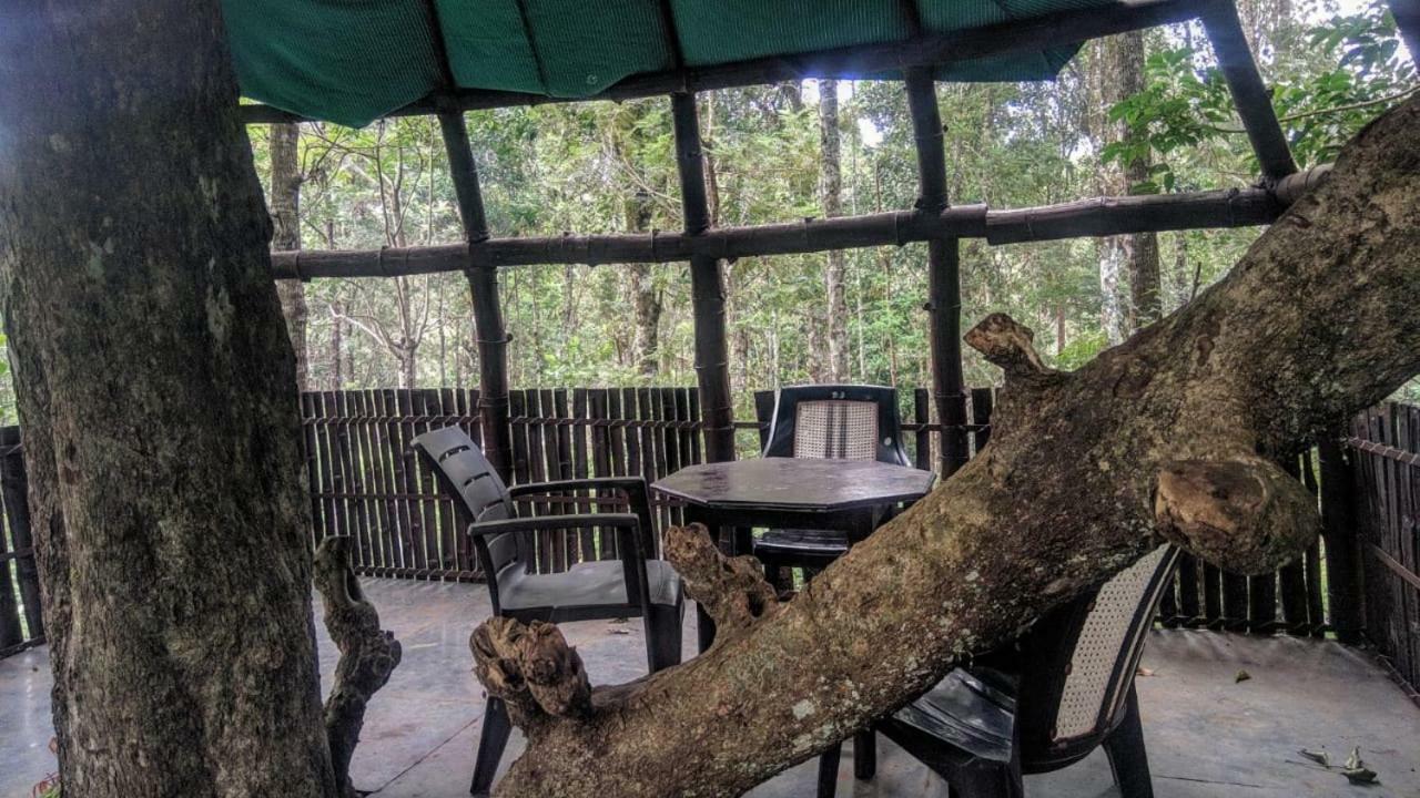 Jungle Jive Tree House Munnar Bed & Breakfast Dış mekan fotoğraf