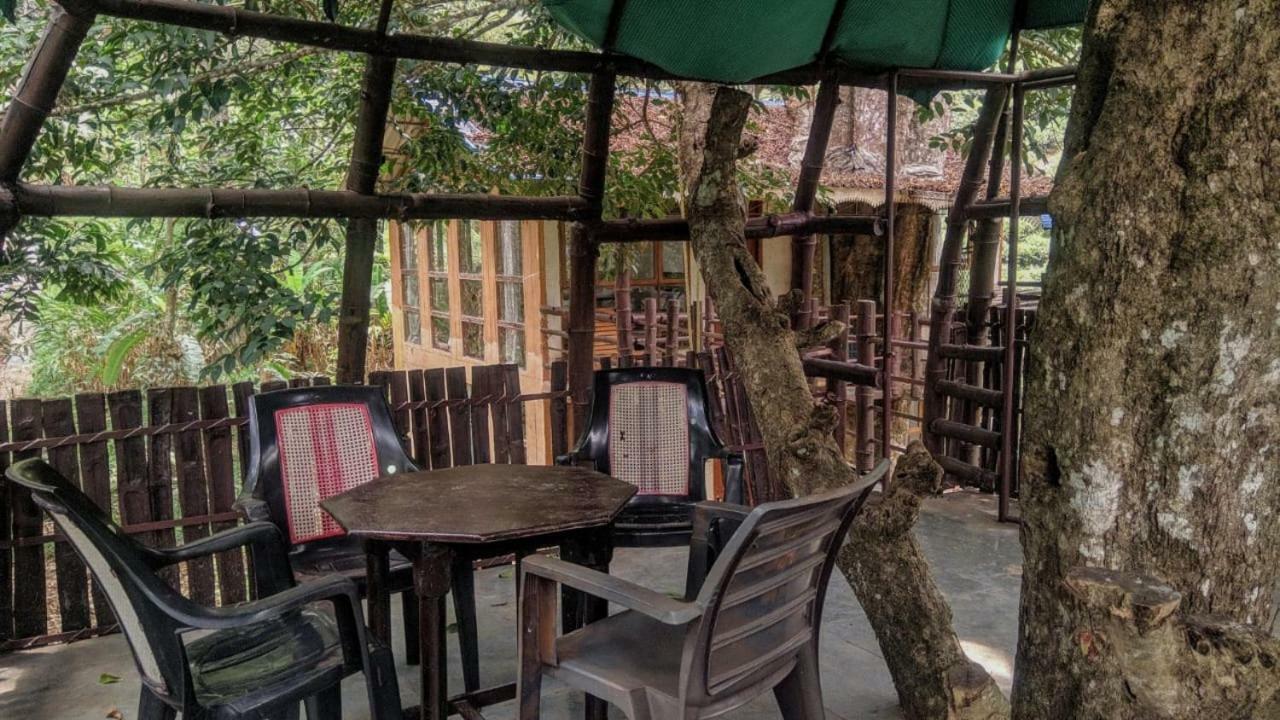 Jungle Jive Tree House Munnar Bed & Breakfast Dış mekan fotoğraf