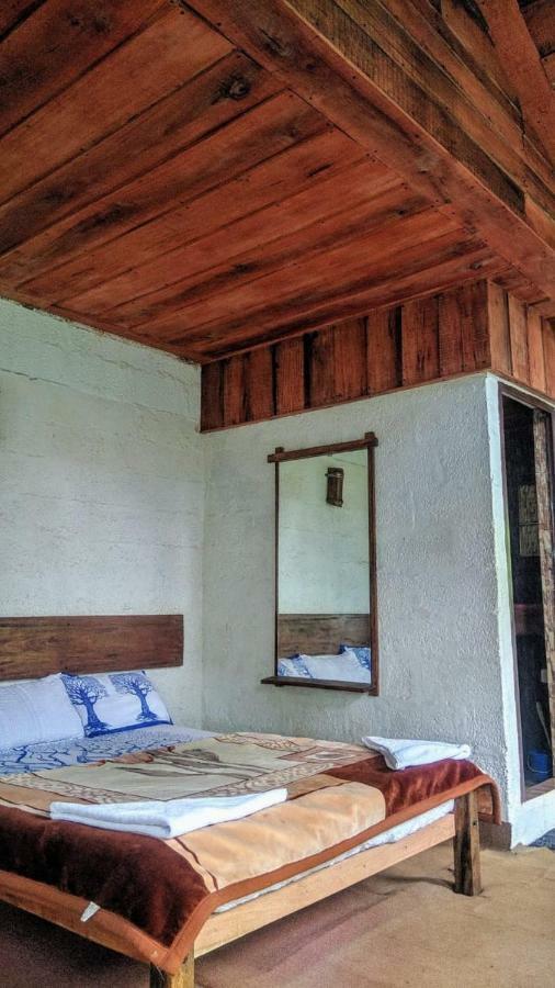 Jungle Jive Tree House Munnar Bed & Breakfast Dış mekan fotoğraf