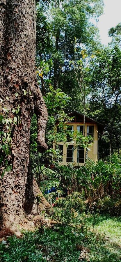 Jungle Jive Tree House Munnar Bed & Breakfast Dış mekan fotoğraf